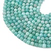 Natural Amazonite Beads Strands G-G453-A02-4mm-4