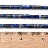 Natural Lapis Lazuli Beads Strands G-P608-A06-01-5