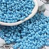 Baking Paint Glass Seed Beads SEED-K009-01A-06-1