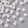 Transparent Acrylic Beads PL554-1