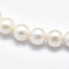 Natural Cultured Freshwater Pearl Beads Strands PEAR-F007-28-01-3