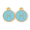 Alloy Enamel Pendants ENAM-S124-01B-16H-1