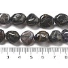Natural Iolite Beads Strands G-C179-F06-01-5
