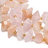 Natural Rose Quartz Beads Strands G-F833-T01-01-4
