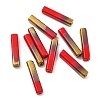 Electroplate Glass Beads GLAA-D024-02A-2