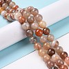 Natural Botswana Agate Beads Strands G-G925-01A-2