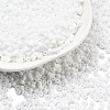 Frosted Opaque 12/0 Glass Seed Beads SEED-R029-2mm-A01-1