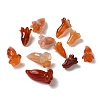 Natural Carnelian Beads G-C054-09F-1