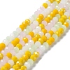 Glass Beads Strands EGLA-A034-M6mm-28-1