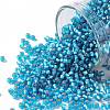 TOHO 11/0 Round Beads SEED-XTR11-0023BF-1