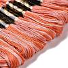 10 Skeins 6-Ply Polyester Embroidery Floss OCOR-K006-A35-2