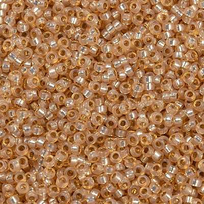 MIYUKI Round Rocailles Beads X-SEED-G009-RR0580-1