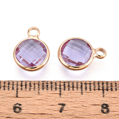 Golden Tone Brass Glass Charms GLAA-ZX008-24I-G-1