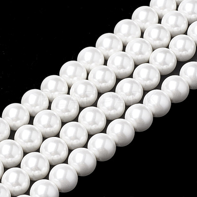 Shell Pearl Beads Strands BSHE-S301-8mm-04-1