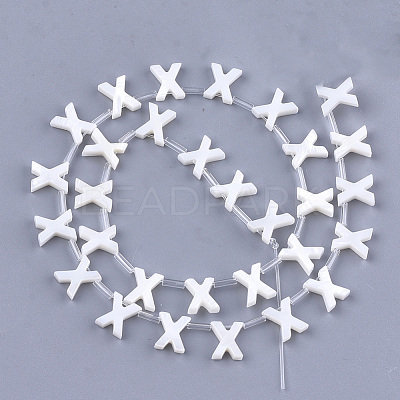 Freshwater Shell Beads X-SHEL-T012-59X-1