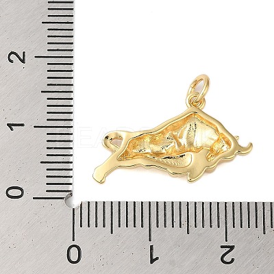 Rack Plating Brass Pendants KK-S372-07G-1