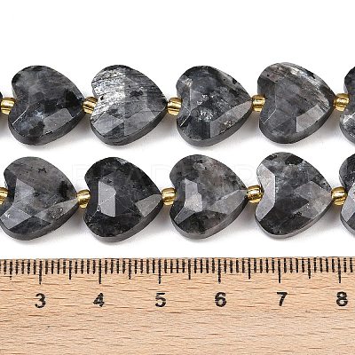 Natural Larvikite Beads Strands G-P592-B05-01-1