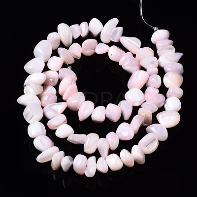 Natural Trochid Shell/Trochus Shell Bead Strands SSHEL-N034-78-C02-1