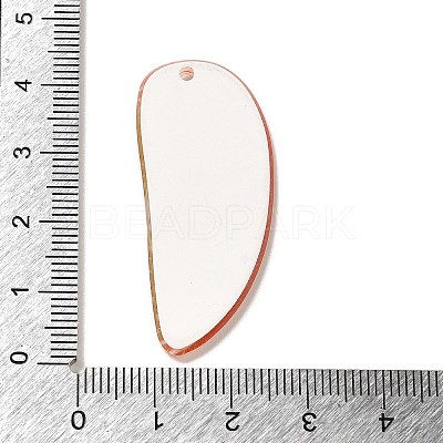 Acrylic Pendants OACR-R270-03A-1