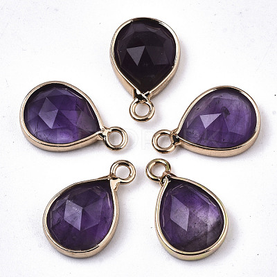 Natural Amethyst Charms G-N326-50B-1