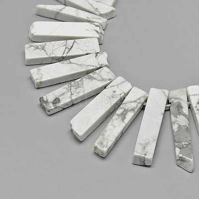 Natural Howlite Beads Strands G-R419-21-1