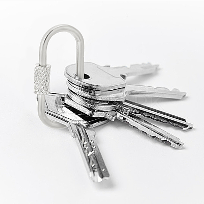 8Pcs 8 Styles 304 Stainless Steel Screw Carabiner Lock Charms AJEW-AN0007-13-1