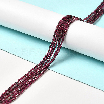Natural Garnet Beads Strands G-I341-09A-1