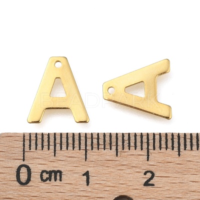 304 Stainless Steel Charms X-STAS-P141-A-1