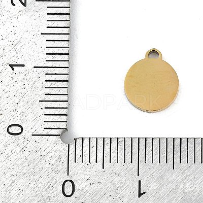 304 Stainless Steel Enamel Charms STAS-I325-063G-01-1
