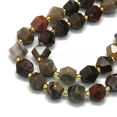 Natural Petrified Wood Beads Strands LS-G-I376-A30-01-1