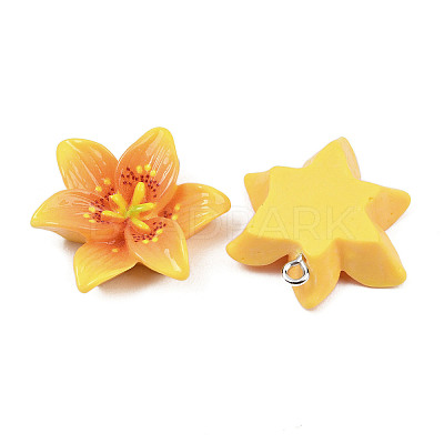 Opaque Resin Pendants CRES-D328-04D-1