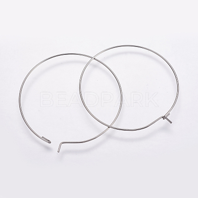 316 Surgical Stainless Steel Hoop Earrings Findings STAS-K146-039-25mm-0.8-1
