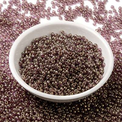 MIYUKI Round Rocailles Beads SEED-JP0009-RR2448-1