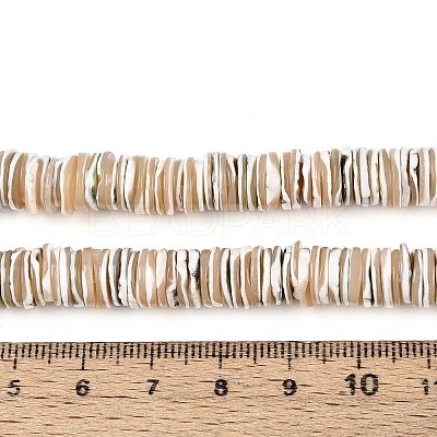 Luminous Natural Seashell Shell Beads Strands SSHEL-T017-34-1