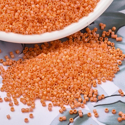 MIYUKI Delica Beads SEED-X0054-DB1593-1