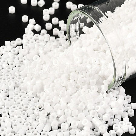 Cylinder Seed Beads SEED-H001-H24-1