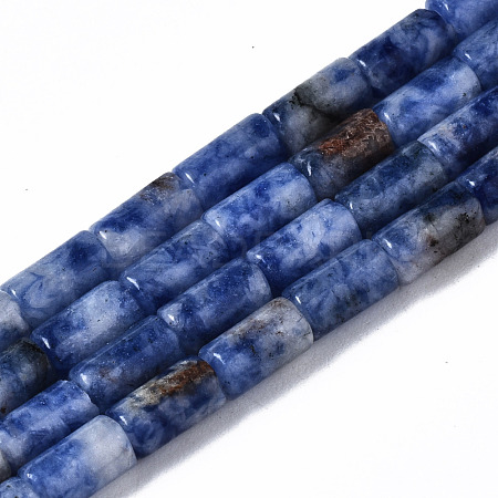 Natural Blue Spot Jasper Beads Strands G-S366-078-1