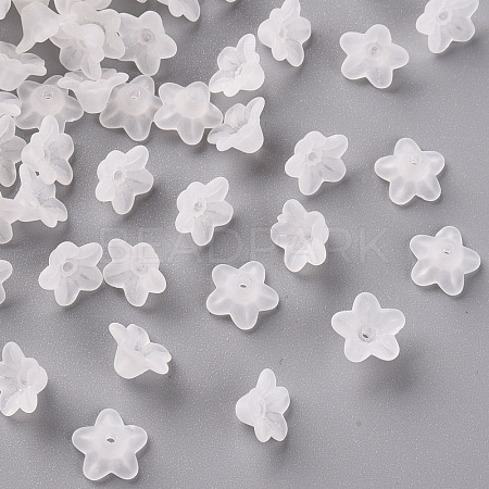 Transparent Acrylic Beads PL554-1