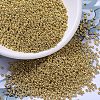 MIYUKI Round Rocailles Beads LS-X-SEED-G007-RR4202-1