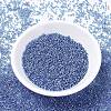 MIYUKI Delica Beads SEED-J020-DB1210-2