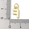 Rack Plating Brass Charms KK-P245-06G-F-3
