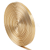 5M Flat Imitation Leather Cord LC-GF0001-02B-01-1
