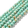 Synthetic Turquoise and Sea Shell Assembled Beads Strands G-D482-01A-08-2