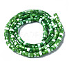 Natural Trochus Shell Beads Strands SHEL-S278-027C-2