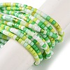 Handmade Lampwork Beads Strands LAMP-L078-008-2
