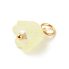 Transparent Acrylic Charms PALLOY-JF01604-01-4
