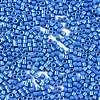 11/0 Grade A Baking Paint Glass Seed Beads SEED-S030-1042-2