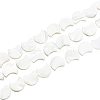 1 Strand Natural White Shell Beads Strands SSHEL-BC0001-18-1