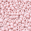 6/0 Glass Seed Beads SEED-S058-A-F405-3