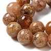 Natural Flower Agate Beads Strands G-B044-A01-02-5